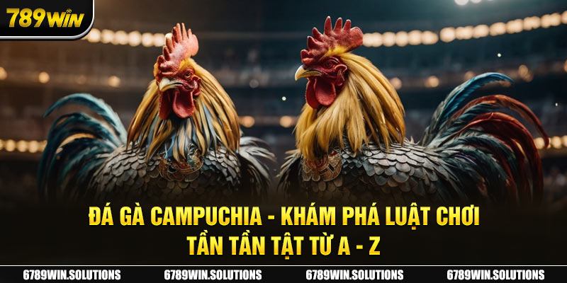 Luật chơi cơ bản trong các thể thức đá gà